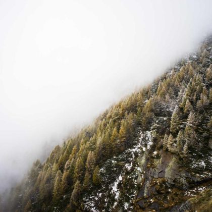 Set boluri aperitiv — 3 piese