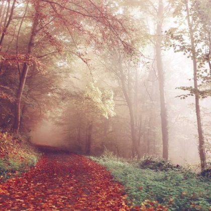 Platou rustic pentru servit